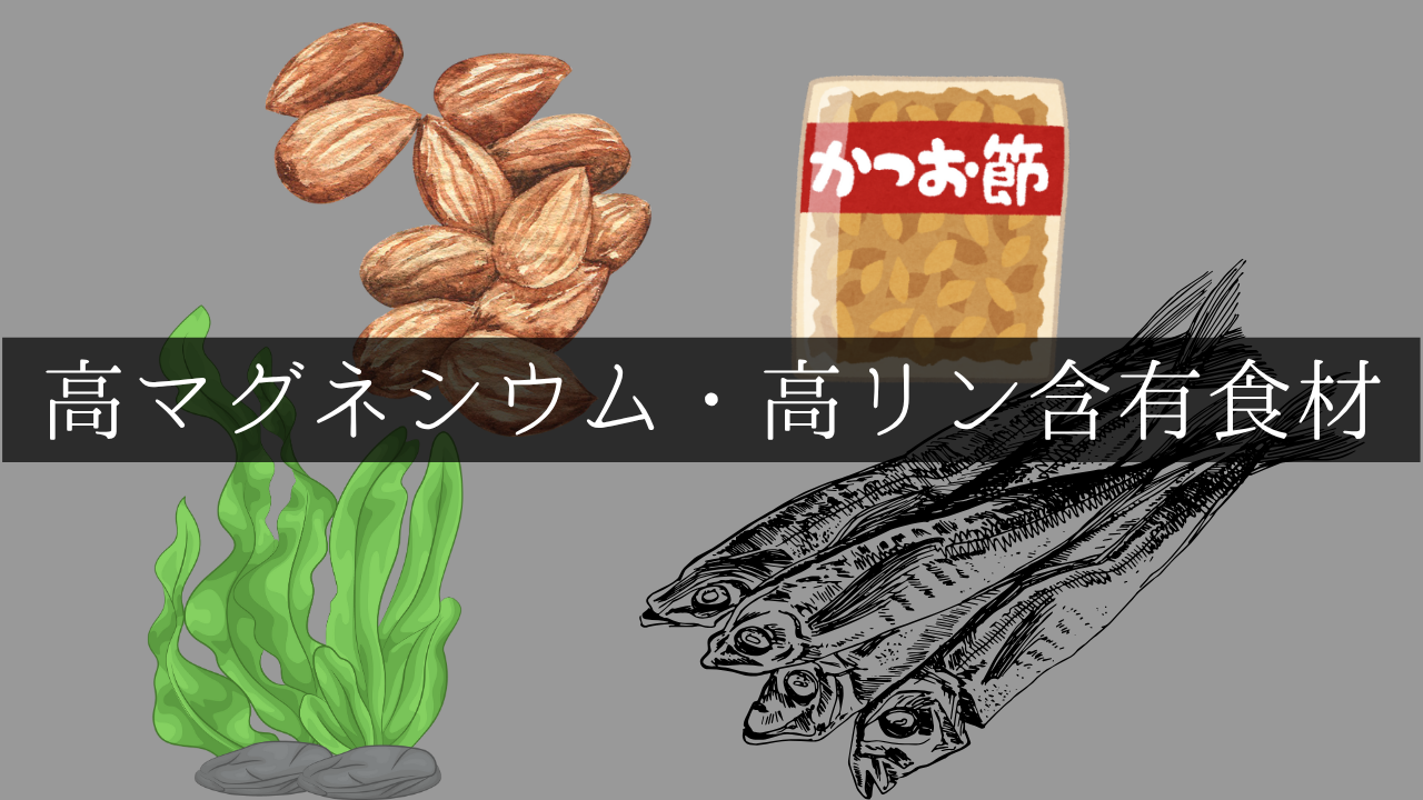 高マグネシウム・高リン含有食材