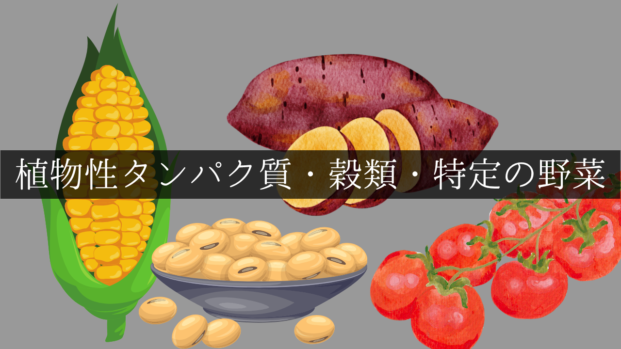 植物性タンパク質・穀類・特定の野菜
