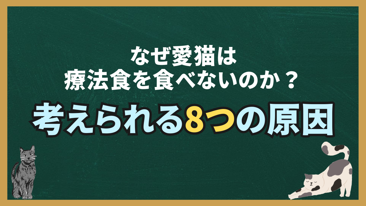 なぜ愛猫は療法食を食べないのか？考えられる8つの原因