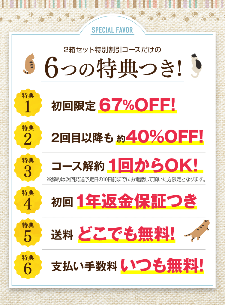 6つの特典つき!