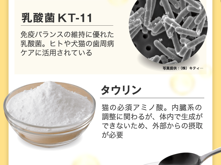 免疫に!体調を整える!