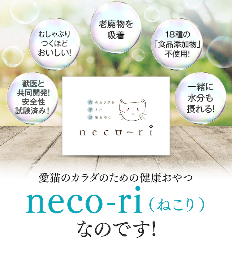 neco-ri(ねこり)なのです!