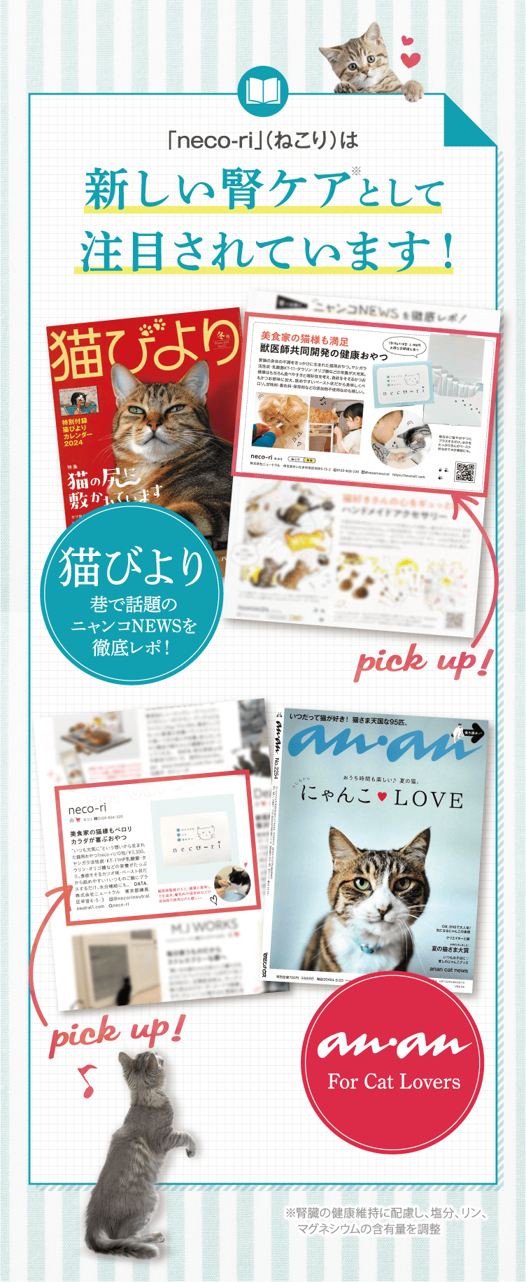 猫びよりに掲載されました