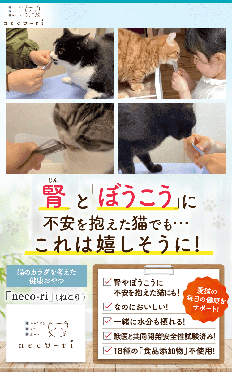 「腎」と「ぼうこう」に不安を抱えたウチの猫…これを1つあげてみたら…