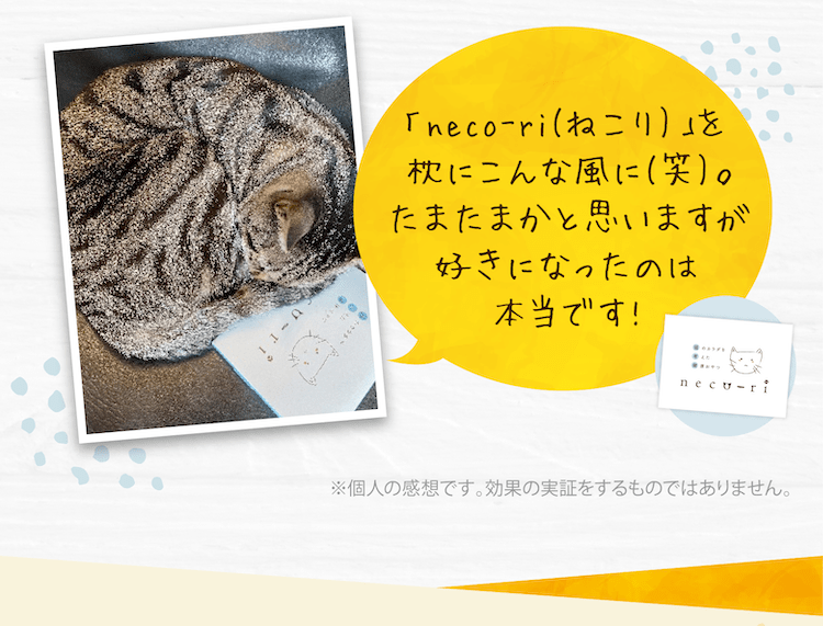 neco-riを枕にこんな風に(笑)。たまたまかと思いますが好きになったのは本当です！