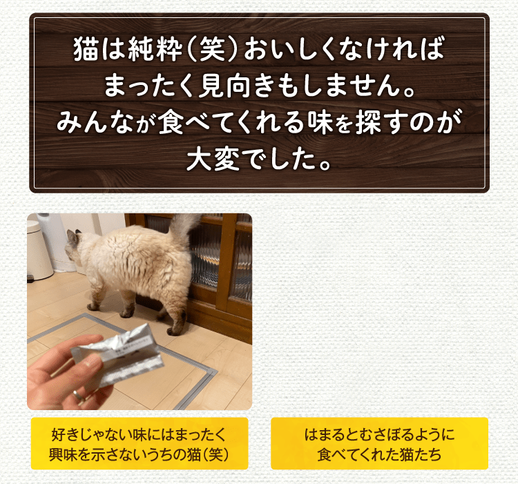 猫は純粋(笑)おいしくなければ全く見向きもしません。みんなが食べてくれる味を探すのが大変でした。