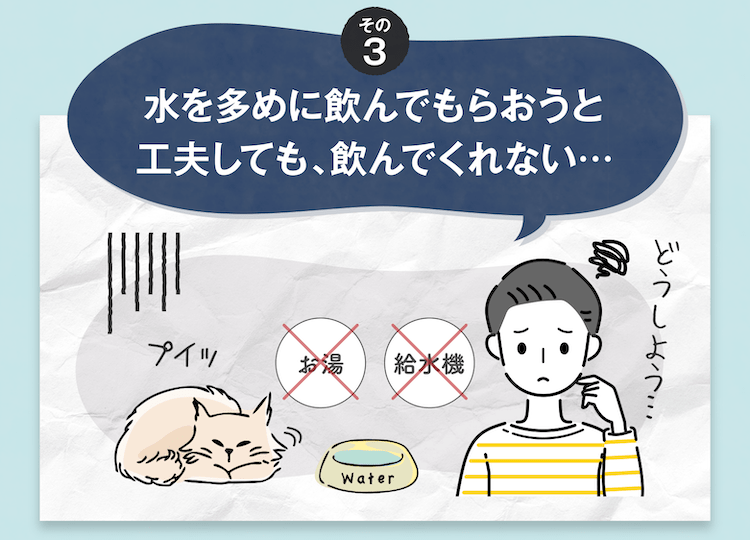 水を多めに飲んでもらおうと工夫しても、飲んでくれない…