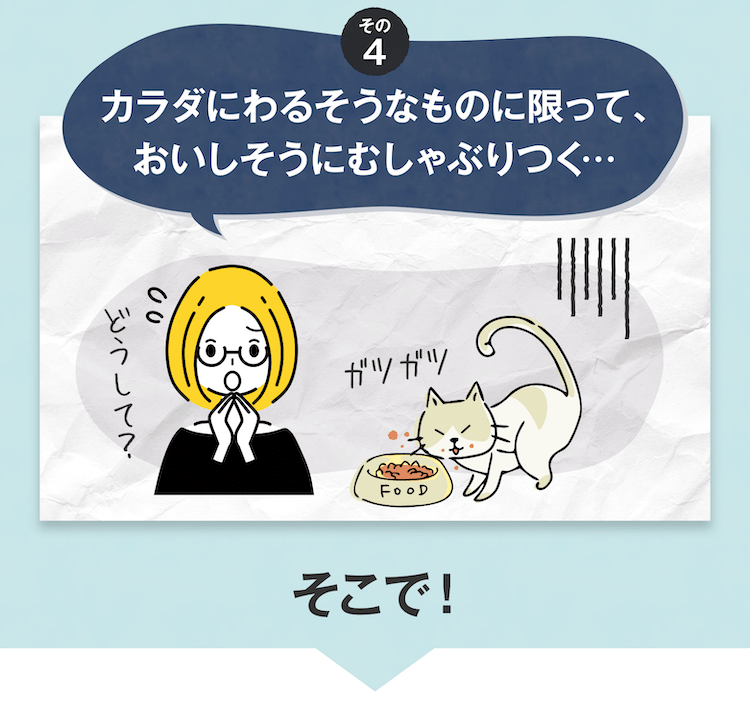 カラダにわるそうなものに限って、おいしそうにむしゃぶりつく…