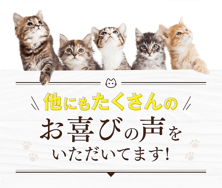 他にもたくさんのお喜びの声をいただいています!