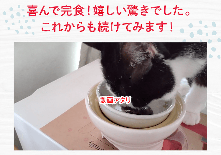 喜んで完食!