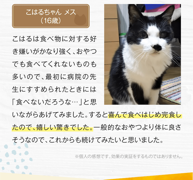 喜んで食べ始め完食したので、嬉しい驚きでした