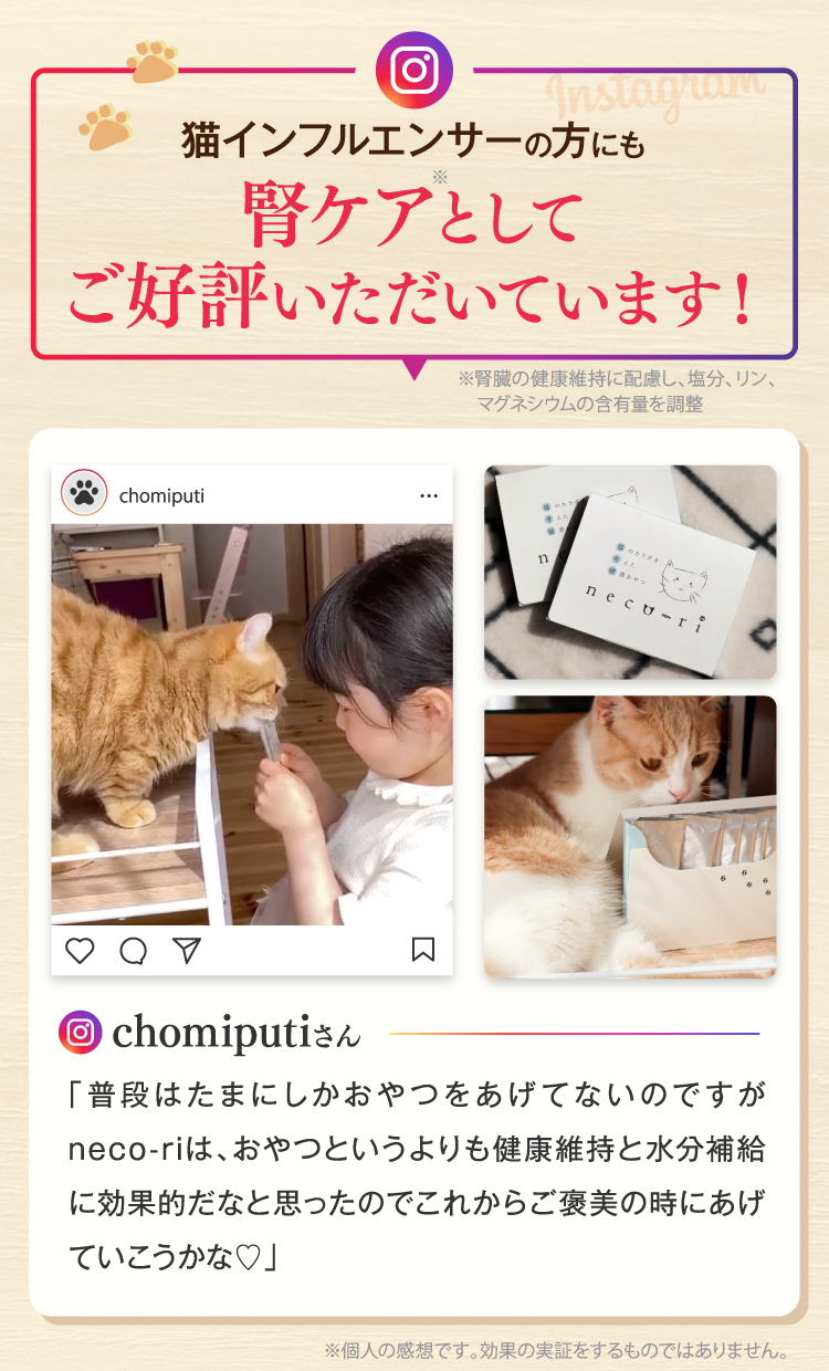 猫インフルエンサーの方にもご好評いただいています!