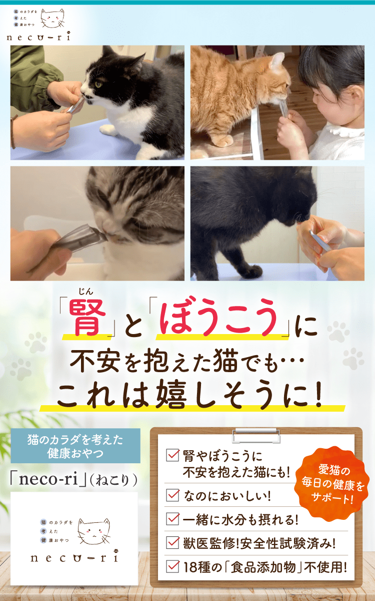 最新作売れ筋が満載 ねこり neco-ri ペットフード 猫用品 - www