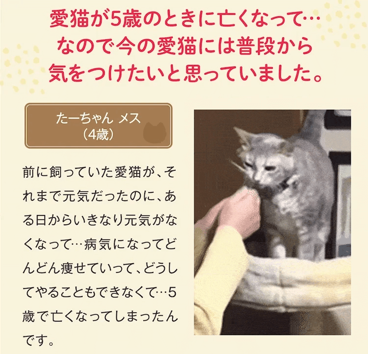 愛猫が5歳のときに亡くなって…なので今の愛猫には普段から気をつけたいと思っていました。