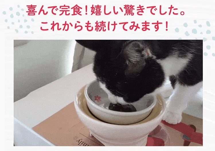 喜んで完食!