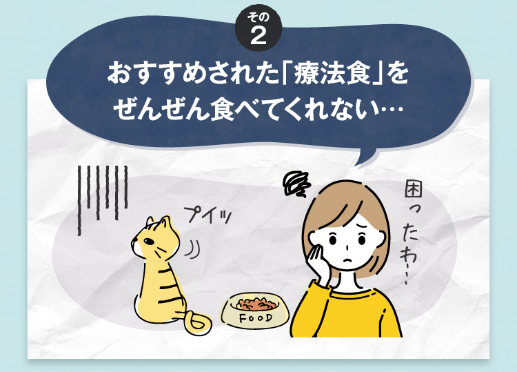 その2おすすめされた「療法食」をぜんぜん食べてくれない…