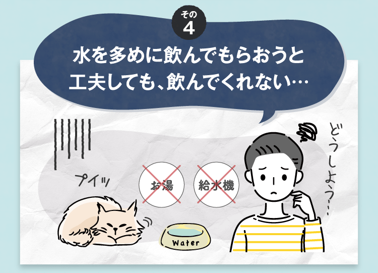 その4 水を多めに飲んでもらおうと工夫しても、飲んでくれない…