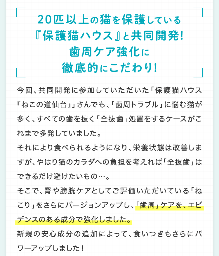 20匹以上の猫を保護している『保護猫ハウス』と共同開発!歯周ケア強化に徹底的にこだわり!今回、共同開発に参加していただいた「保護猫ハウス『ねこの道仙台』」さんでも、「歯周トラブル」に悩む猫が多く、すべての歯を抜く「全抜歯」処置をするケースがこれまで多発していました。
それにより食べられるようになり、栄養状態は改善しますが、やはり猫のカラダへの負担を考えれば「全抜歯」はできるだけ避けたいもの…。
そこで、腎や膀胱ケアとしてご評価いただいている「ねこり」をさらにバージョンアップし、「歯周」ケアを、エビデンスのある成分で強化しました。新規の安心成分の追加によって、食いつきもさらにパワーアップしました！