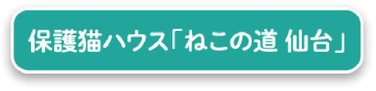 保護猫ハウス「ねこの道 仙台」