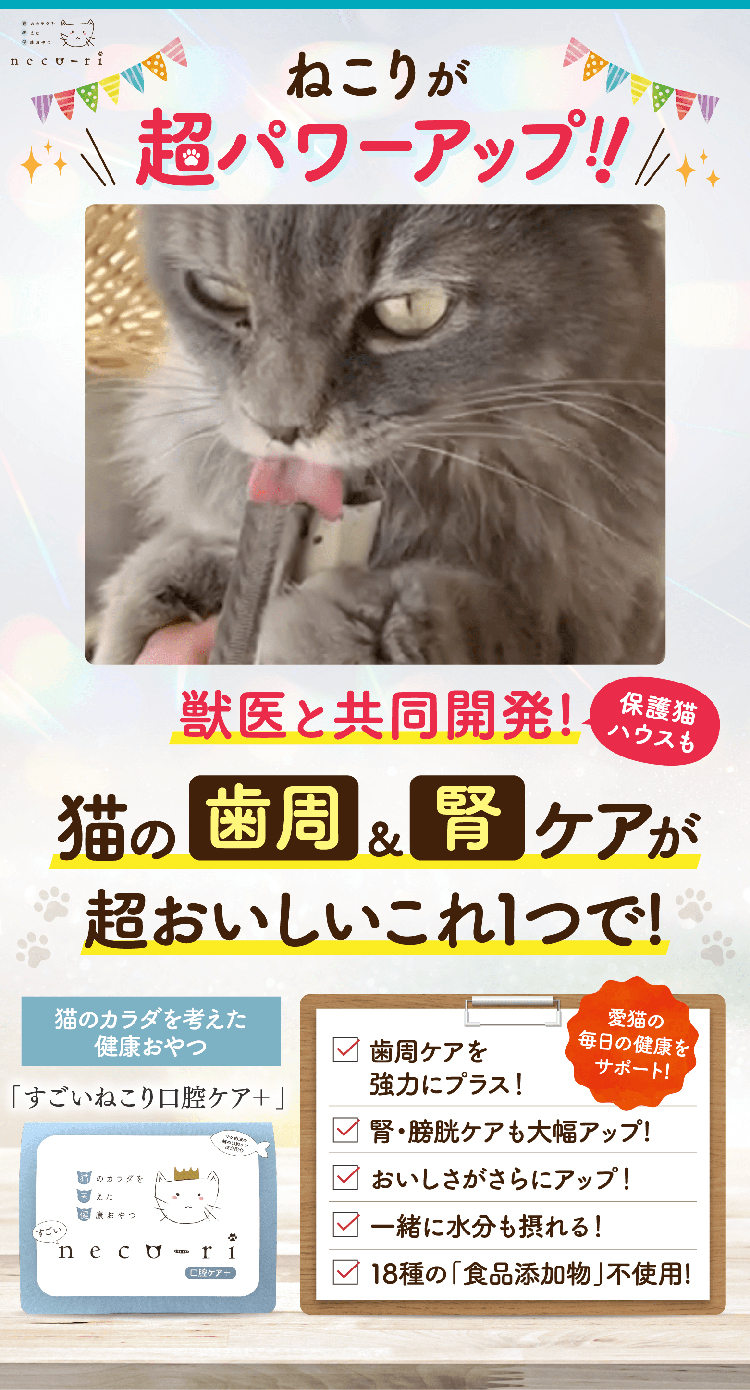 ねこりが超パワーアップ！保護猫ハウスも獣医と共同開発!猫の歯周&腎ケアが超おいしいこれ1つで!猫のカラダを考えた健康おやつ「すごいねこり口腔ケア＋」愛猫の毎日の健康をサポート!歯周ケアを強力にプラス！腎・膀胱ケアも大幅アップ!おいしさがさらにアップ！一緒に水分も摂れる！18種の「食品添加物」不使用!