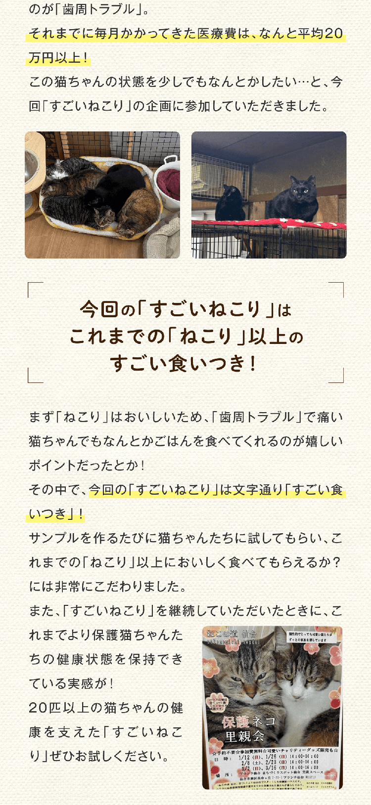 のが「歯周トラブル」。それまでに毎月かかってきた医療費は、なんと平均20万円以上！この猫ちゃんの状態を少しでもなんとかしたい…と、今回「すごいねこり」の企画に参加していただきました。今回の「すごいねこり」はこれまでの「ねこり」以上のすごい食いつき！まず「ねこり」はおいしいため、「歯周トラブル」で痛い猫ちゃんでもなんとかごはんを食べてくれるのが嬉しいポイントだったとか！その中で、今回の「すごいねこり」は文字通り「すごい食いつき」！サンプルを作るたびに猫ちゃんたちに試してもらい、これまでの「ねこり」以上においしく食べてもらえるか？には非常にこだわりました。また、「すごいねこり」を継続していただいたときに、これまでより保護猫ちゃんたちの健康状態を保持できている実感が！20匹以上の猫ちゃんの健康を支えた「すごいねこり」ぜひお試しください。