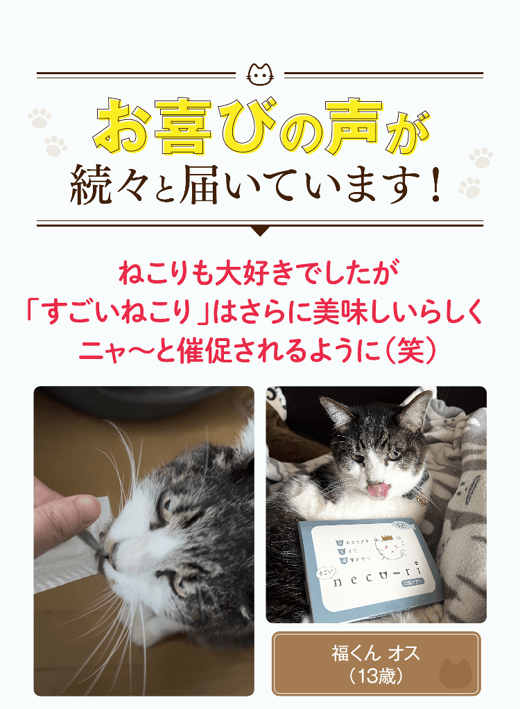 お喜びの声が続々と届いています！ねこりも大好きでしたが「すごいねこり」はさらに美味しいらしくニャ〜と催促されるように（笑）