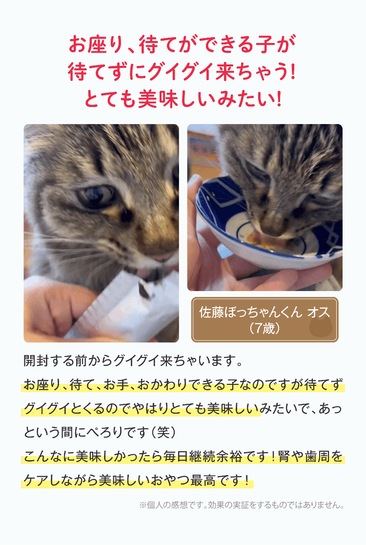 お座り、待てができる子が待てずにグイグイ来ちゃう!とても美味しいみたい!開封する前からグイグイ来ちゃいます。お座り、待て、お手、おかわりできる子なのですが待てずグイグイとくるのでやはりとても美味しいみたいで、あっという間にぺろりです（笑）こんなに美味しかったら毎日継続余裕です！腎や歯周をケアしながら美味しいおやつ最高です！※個人の感想です。効果の実証をするものではありません。