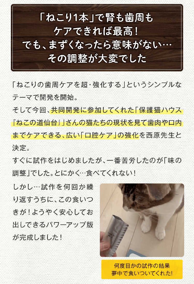 「ねこり1本」で腎も歯周もケアできれば最高！でも、まずくなったら意味がない…その調整が大変でした 「ねこりの歯周ケアを超・強化する」というシンプルなテーマで開発を開始。そして今回、共同開発に参加してくれた「保護猫ハウス『ねこの道仙台』」さんの猫たちの現状を見て歯肉や口内までケアできる、広い「口腔ケア」の強化を西原先生と決定。すぐに試作をはじめましたが、一番苦労したのが「味の調整」でした。とにかく…食べてくれない！しかし…試作を何回か繰り返すうちに、この食いつきが！ようやく安心してお出しできるパワーアップ版が完成しました！何度目かの試作の結果夢中で食いついてくれた!