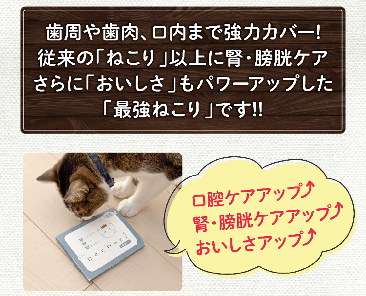 歯周や歯肉、口内まで強力カバー!従来の「ねこり」以上に腎・膀胱ケアさらに「おいしさ」もパワーアップした「最強ねこり」です!!口腔ケアアップ 腎・膀胱ケアアップ おいしさアップ