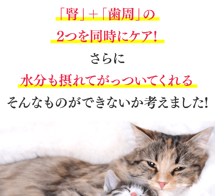 「腎」＋「歯周」の2つを同時にケア!さらに水分も摂れてがっついてくれるそんなものができないか考えました!