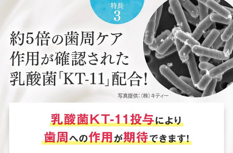 特長3 約5倍の歯周ケア作用が確認された乳酸菌KT-11配合！写真提供：（株）キティー 乳酸菌KT-11投与により歯周への作用が期待できます!