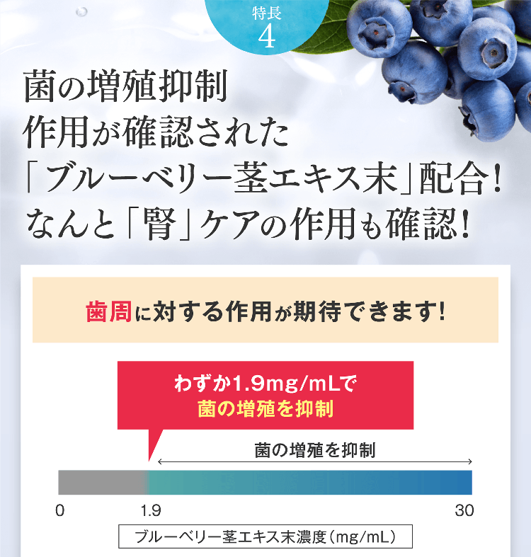 特長4 菌の増殖抑制作用が確認された「ブルーベリー茎エキス末」配合！なんと「腎」ケアの作用も確認！歯周に対する作用が期待できます!