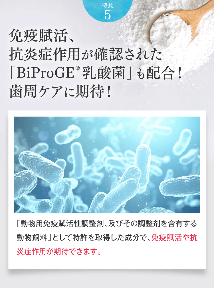 特長5 免疫賦活、抗炎症作用が確認された「BiProGE®乳酸菌」も配合！歯周ケアに期待！「動物用免疫賦活性調整剤、及びその調整剤を含有する動物飼料」として特許を取得した成分で、免疫賦活や抗炎症作用が期待できます。