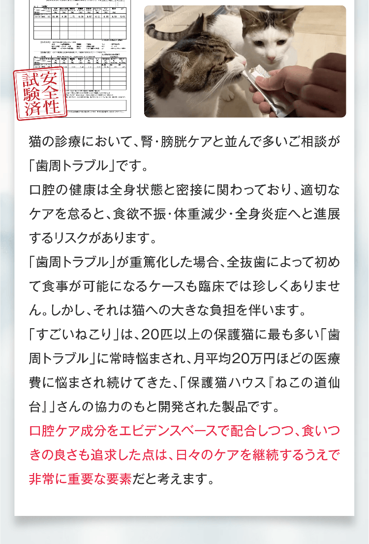 猫の診療において、腎・膀胱ケアと並んで多いご相談が「歯周トラブル」です。口腔の健康は全身状態と密接に関わっており、適切なケアを怠ると、食欲不振・体重減少・全身炎症へと進展するリスクがあります。「歯周トラブル」が重篤化した場合、全抜歯によって初めて食事が可能になるケースも臨床では珍しくありません。しかし、それは猫への大きな負担を伴います。「すごいねこり」は、20匹以上の保護猫に最も多い「歯周トラブル」に常時悩まされ、月平均20万円ほどの医療費に悩まされ続けてきた、「保護猫ハウス『ねこの道仙台』」さんの協力のもと開発された製品です。口腔ケア成分をエビデンスベースで配合しつつ、食いつきの良さも追求した点は、日々のケアを継続するうえで非常に重要な要素だと考えます。