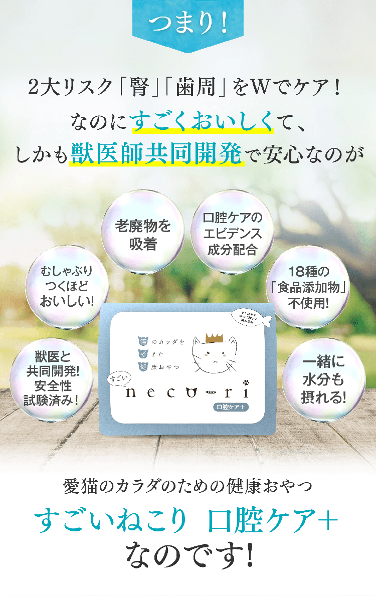 つまり！2大リスク「腎」「歯周」をWでケア！なのにすごくおいしくて、しかも獣医師共同開発で安心なのが愛猫のカラダのための健康おやつすごいねこり 口腔ケア＋なのです! 獣医と共同開発!安全性試験済み！むしゃぶりつくほどおいしい!老廃物を吸着 口腔ケアのエビデンス成分配合18種の「食品添加物」不使用!一緒に水分も摂れる!