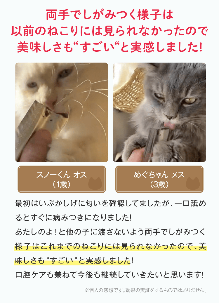 両手でしがみつく様子は以前のねこりには見られなかったので美味しさも“すごい“と実感しました!最初はいぶかしげに匂いを確認してましたが、一口舐めるとすぐに病みつきになりました!あたしのよ！と他の子に渡さないよう両手でしがみつく様子はこれまでのねこりには見られなかったので、美味しさも“すごい“と実感しました!口腔ケアも兼ねて今後も継続していきたいと思います!※個人の感想です。効果の実証をするものではありません。